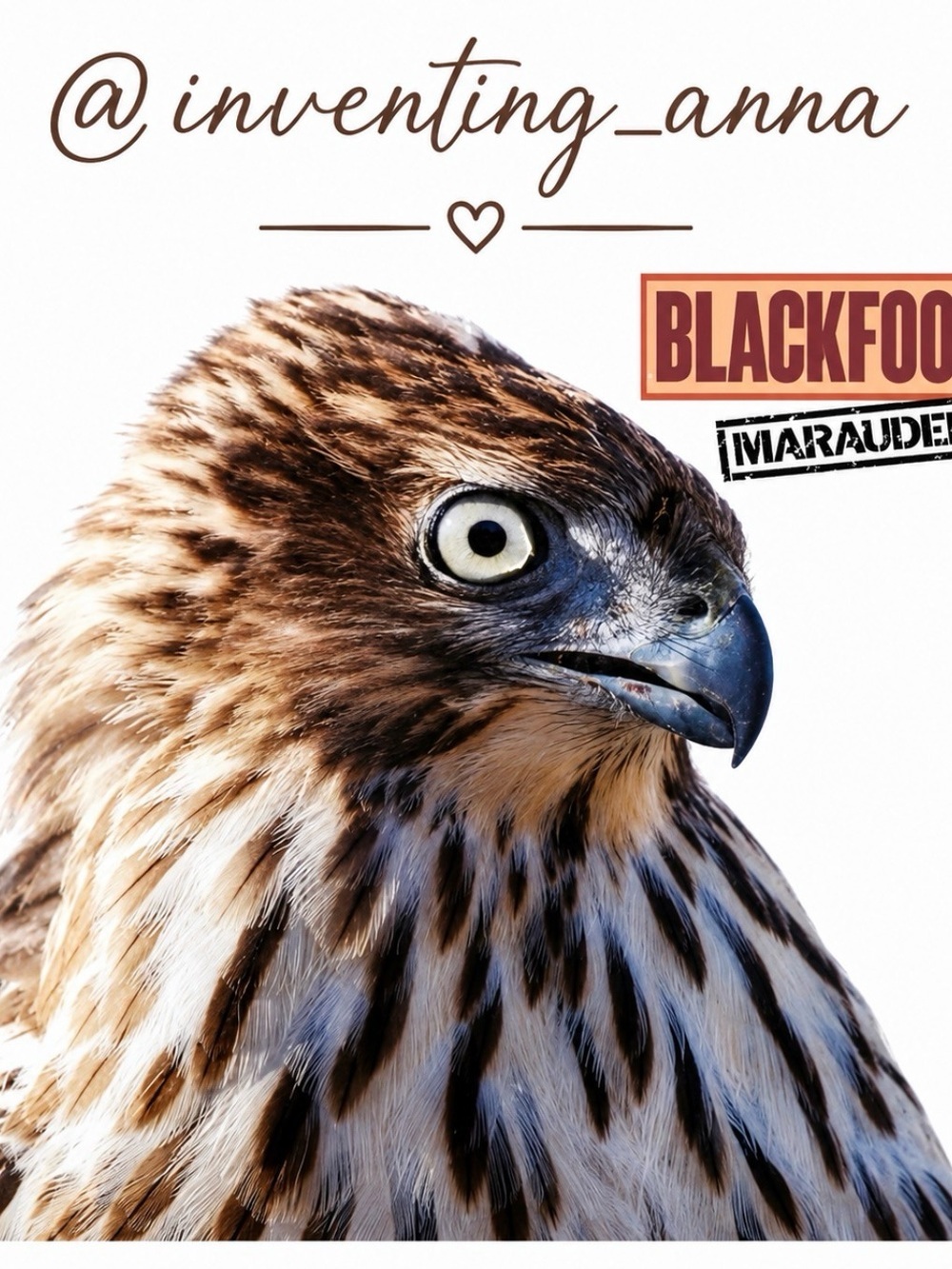 BLACKFOOT “Marauder” original album cover and sleeve no scratches on wax